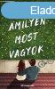 Amber Smith - Amilyen most vagyok