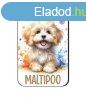 Kutys fa htmgnes, Maltipoo, vilgos