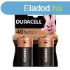 Duracell Basic Alkli Glit Elem D (MN1300) (1,5V) B2