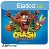 CRASH BANDICOOT - Rugalmas egrpad - Crash (23,5 x 19,5 cm)