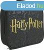 Harry Potter ebdtska - LOGO