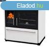 Plamen 850 Glas sparhelt NEW! RAKTRON