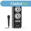 Auna DiscoStar Silver, hordozhat 2.1 bluetooth hangfal, USB