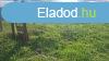 Elad 3100 nm-es Egyb Dabas