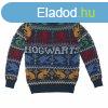 Unisex Jumper Harry Potter Kk MOST 26993 HELYETT 14063 Ft-