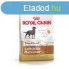 Takarmny Royal Canin Labrador Retriever Sterilised 12 kg Fe