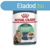 Macska eledel Royal Canin Digest Sensitive Care Hs 12 x 85 