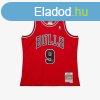 Mitchell & Ness Chicago Bulls #9 Ron Harper Dark Jersey 