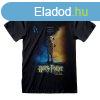 Rvid ujj pl Harry Potter Dobby Poster Fekete Unisex MOST