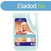 Padl-s fellettisztt, 5l, MR PROPER