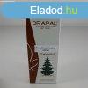 Drapal erdei fenyrgy szirup 200 ml