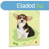 Ars Una Cuki llatok-Welsh Corgi A/4 gumis dosszi