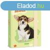 Ars Una Cuki llatok-Welsh corgi A/5 fzetbox