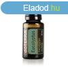 Eucalyptus ? Eukaplitusz illolaj 15 ml - doTERRA