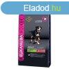 Eukanuba Adult Large Salmon & Barley kutyatp 12kg