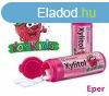 Xylitol kids gyermek rggumi eper z 30 db