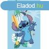 Disney Lilo s Stitch, A csillagkutya Summer polr takar 10