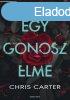 Egy gonosz elme