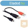 Delock 82447 kbel, 2db USB-A 2.0 apa - USB mini 5 ts