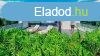 Elad 1 075m2-es Csaldi hz, Budars