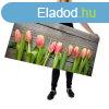 Wallplex falburkol konyhapanel Tulipnok (Mret: ris 60x3