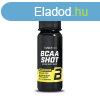 Biotech BCAA Shot 1karton (60mlx20db)