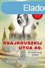 CSAJKOVSZKIJ UTCA 40. - AZ OROSZORSZGI KALAND