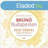 PEST FNYEI LPSRL LPSRE - Brn Budapesten 4. - Fnykp