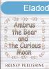 AMBRUS THE BEAR AND THE CURIOUS MOON