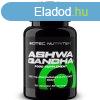 Scitec Ashwagandha 60 kapszula