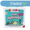 Brainbox - Angol nyelvlecke