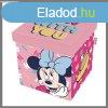 Disney Minnie jtktrol ADX14424WD