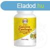 Dehlvis garcinia cambogia kapszula 90 db