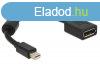 DeLock Adapter mini Displayport 1.2 male > Displayport fe