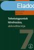 Tehetsgpontok ltrehozsa, akkreditcija - Dr. Balogh Lsz