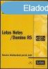 Lotus Notes / Domino R5 - Hasznos alkalmazsok percek alatt 