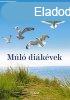 Ml dikvek -