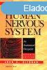 The human nervous system - An Anatomical Viewpoint - Murray 