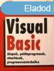 Visual Basic Alapok, pldaprogramok, utastsok programozst