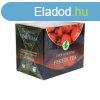 Herbria fekete tea eper 10x1,5g 15 g