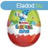 Kinder Maxi Tojs Fis 100g /12/