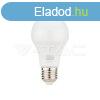 LED izz 15W SAMSUNG chippel, manyag, E27, A65, 6500K (V-TA