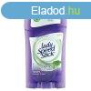 Lady Speed Stick 40g Derma+ Aloe