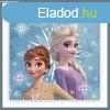 Disney Jgvarzs 30x30cm trlkz BRM016200