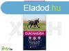 Eukanuba Puppy Large kutyatp 15kg