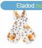 Wellsoft baba sl