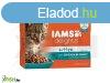 Iams cat delights kitten & junior csirke falatkk zlete