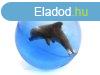 Delfines pattog labda - 4 cm
