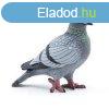 Galamb