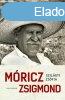 Mricz Zsigmond